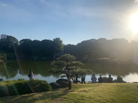 静寂と光の調和、水辺のひととき