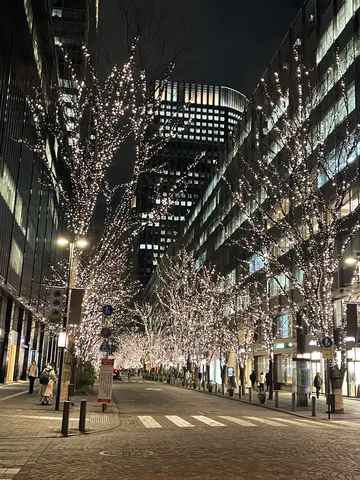 煌めく夜の並木道