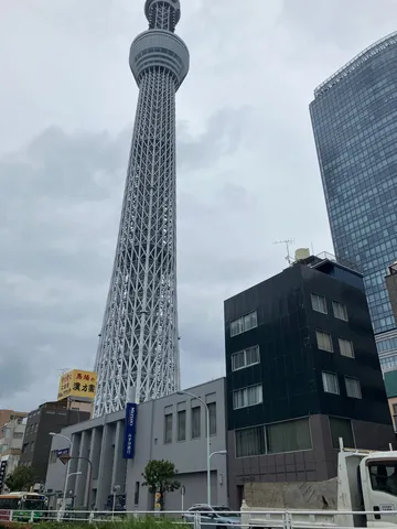 天空へ伸びる鉄の網