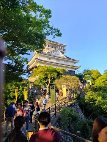 城と木漏れ日の道