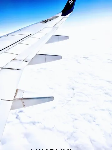 青空と翼の瞬間