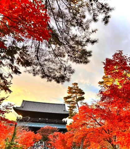 紅葉に包まれた屋根