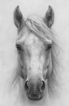 静謐なる馬の肖像