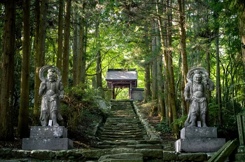 深緑に誘われる参道の階段