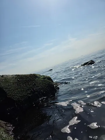 水面がきらめく、静かな波打ち際