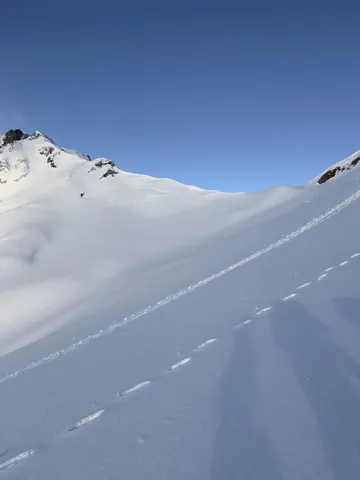雪原に続く足跡の道