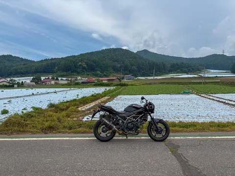 風と緑と、黒い翼