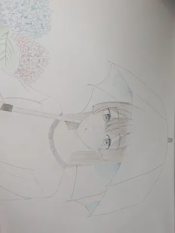 雨粒と紫陽花の儚い世界