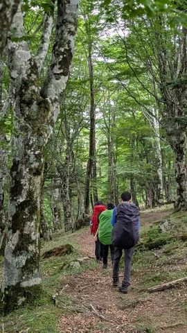 森の道、冒険の始まり