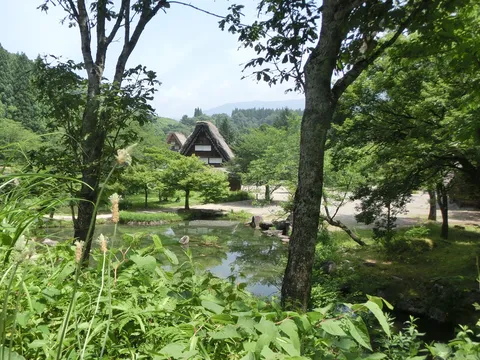 水面映す日本の夏景色