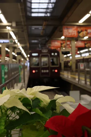 花越しの駅、優しい光景