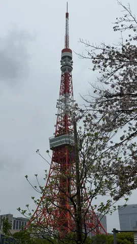 春を告げる赤白の塔