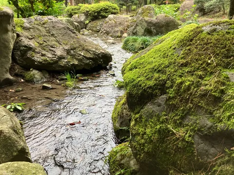 苔と流れの静かな庭