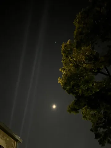 月明かりと木漏れ日の夜