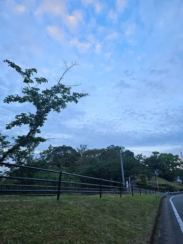 静寂に包まれる、空と木々のコントラスト