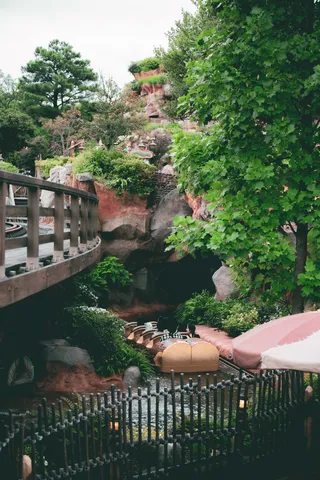 緑と岩肌の森の入口