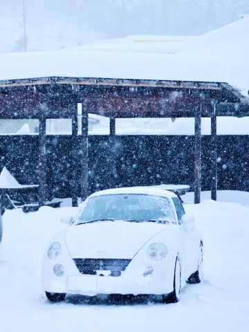 雪に埋もれて、どこまで行くの？