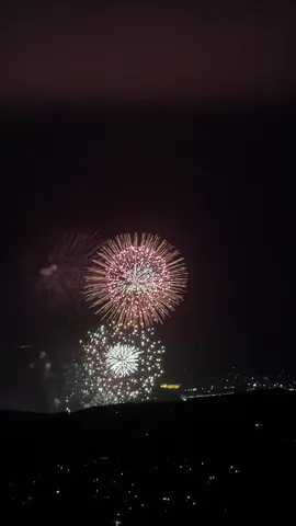魂を揺らす花火の夜景