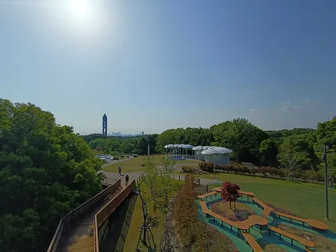 広がる緑と空、未来的な展望台
