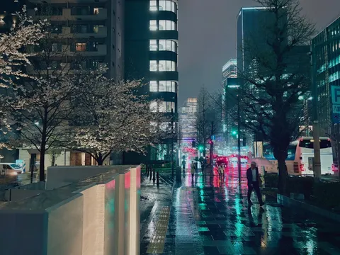 水面に滲む街の灯と春
