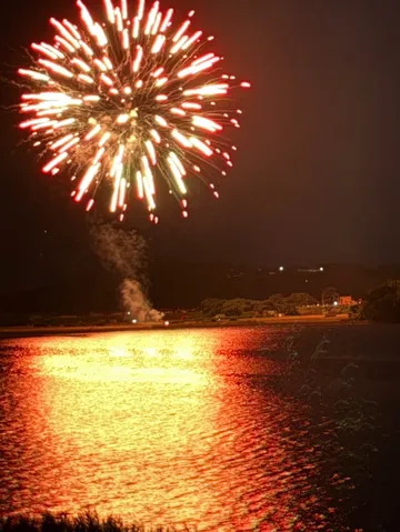 夜空を彩る花火、水面に映る光の華