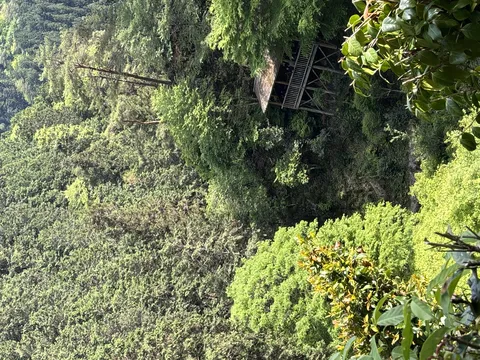 深緑に佇む隠れ家