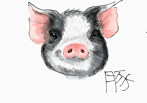 豚かいた