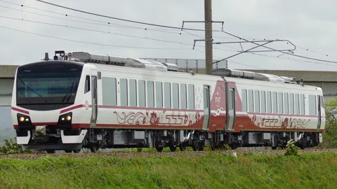 草の道を走る花模様の列車