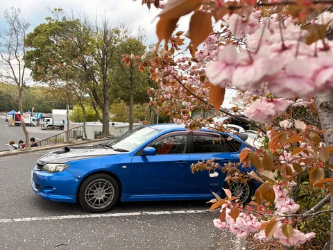 春と相棒、時々トラック