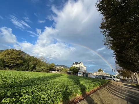 虹が架かる田園の午後