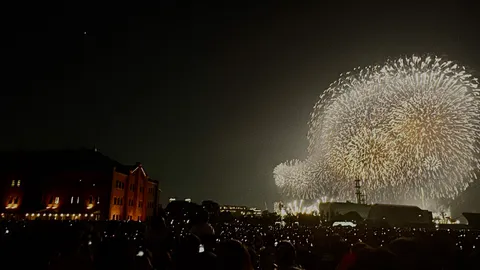 夜空に咲く花火の記録