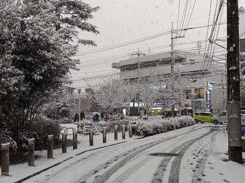しんしんと降り積もる冬景色