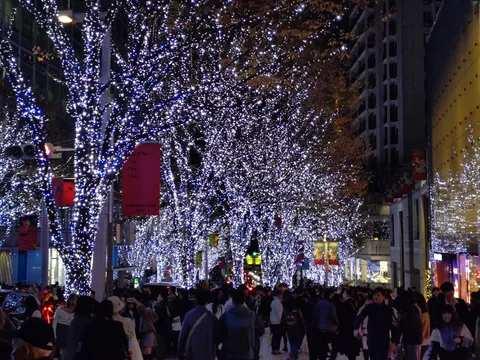 光のトンネル、華やぐ夜