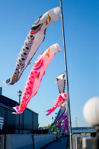 青い空、ピンクの鯉、映えまくり！