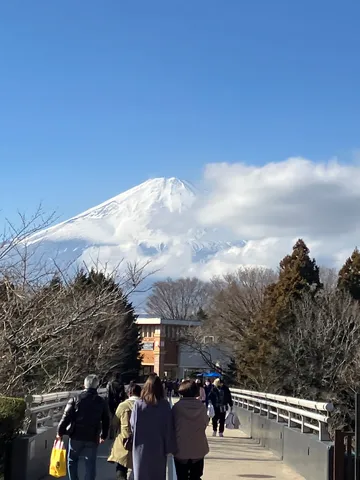 雪化粧の富士山と散策路