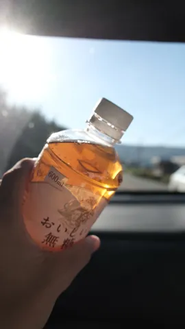 日差しと共にお茶を