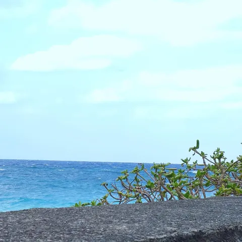 風そよぐ海辺の風景
