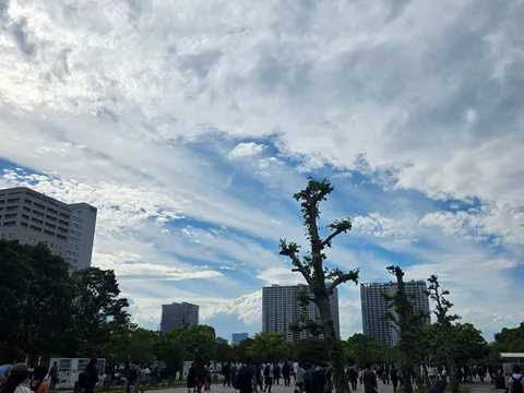 都会の空に広がる、雲のカーテン