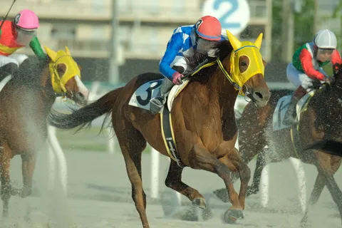 砂煙を巻き上げる競走馬の疾走感