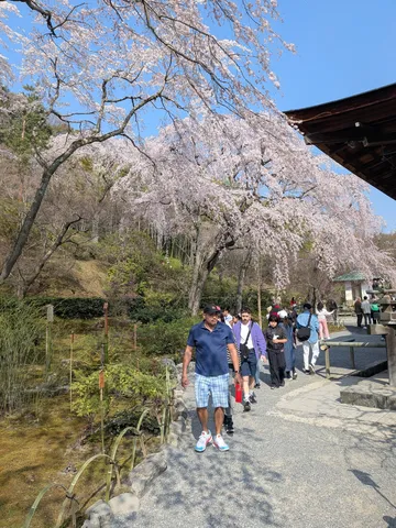 花降る小径の賑わい