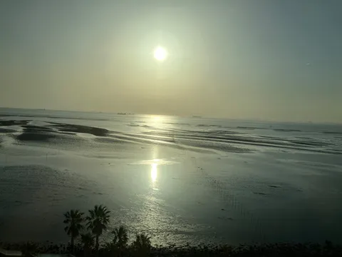 水面に溶ける光