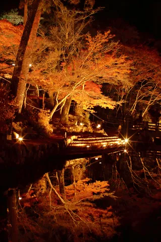 水面に映る紅葉の灯り