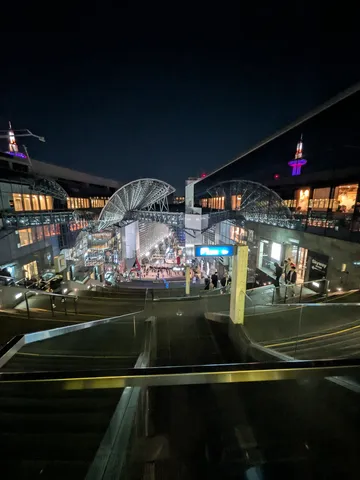 夜空に輝く光の回廊