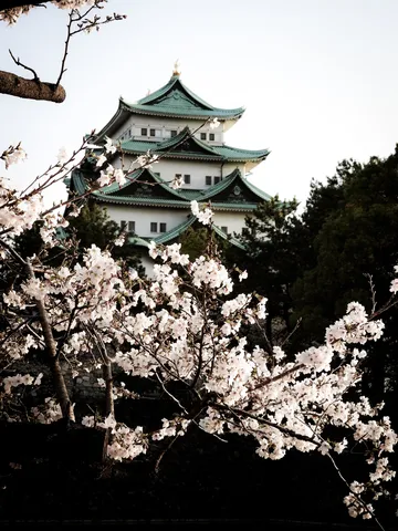 城と桜