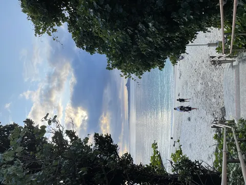 海へ続く緑の階段と光