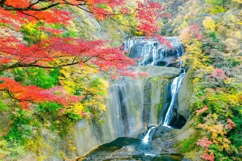 滝と紅葉の彩り風景