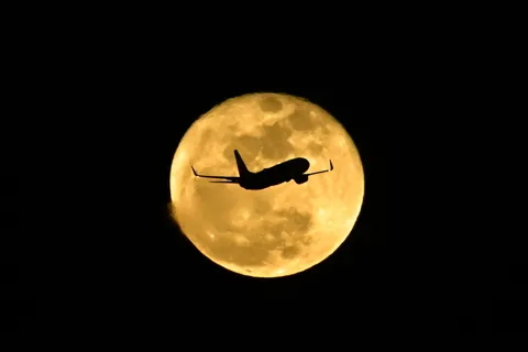 月夜に浮かぶ影の航路