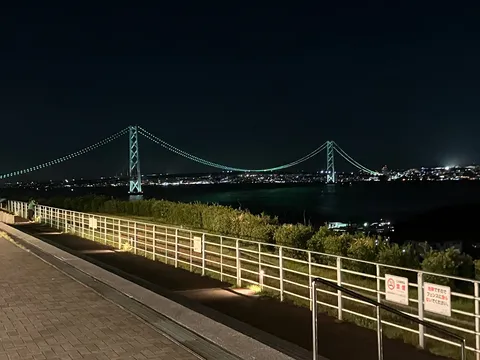 夜空を彩る光の橋