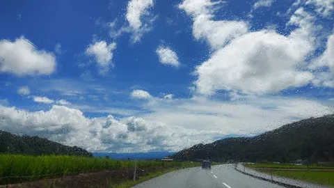 雨粒越しの緑と空