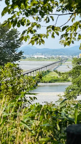 緑に包まれた長大橋